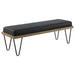 Chad Accent Bench - Nick's Furniture (IL)