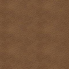 Bolsena Sofa Sleeper - Nick's Furniture (IL)