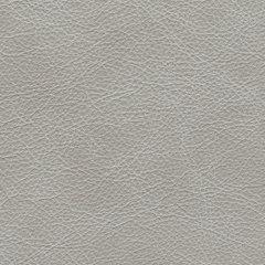 Amiata Sectional with Chaise - Nick's Furniture (IL)