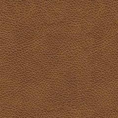 Carianna Sofa Sleeper - Nick's Furniture (IL)