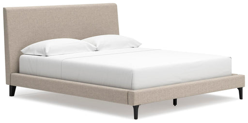 Cielden Upholstered Bed with Roll Slats - Nick's Furniture (IL)