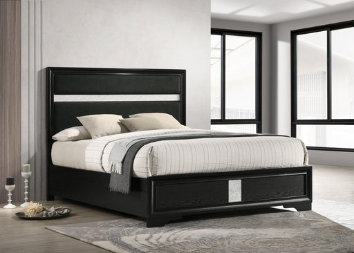 Miranda Beds 2 - Nick's Furniture (IL)