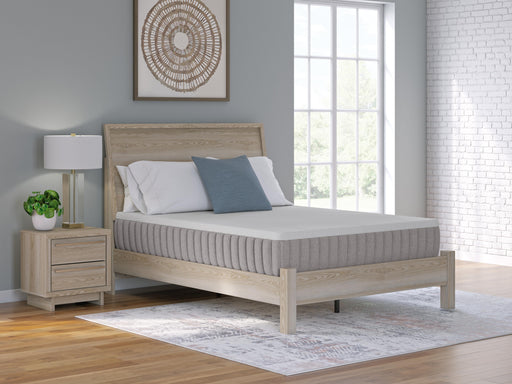 Terra Sleep Firm Mattress - Nick's Furniture (IL)