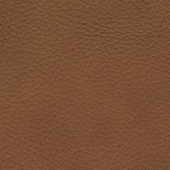 Magic Man 5-Piece Power Reclining Sectional - Nick's Furniture (IL)