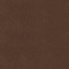 DeepWakes Reclining Sofa Chaise - Nick's Furniture (IL)