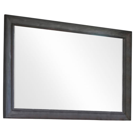 Alderwood Rectangle Dresser Mirror French Grey image