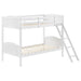 Arlo Twin Over Twin Bunk Bed with Ladder White image