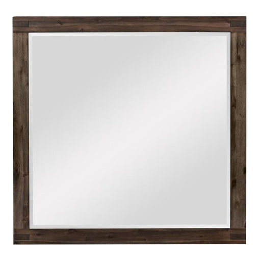 Homelegance Parnell Mirror in Rustic Cherry 1648-6 image