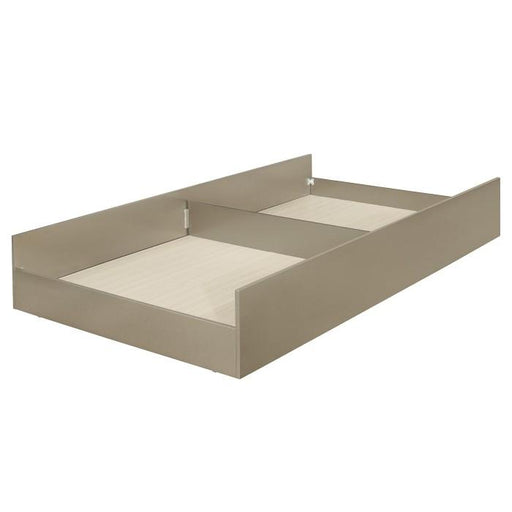 Homelegance Furniture Youth Loudon Trundle/Toybox in Champagne Metallic B1515-R image